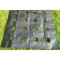 2021 hot sale Agriculture PP Ground Cover Fabric Weed Control Mat Anti Weed Mat in Strawberry Garden